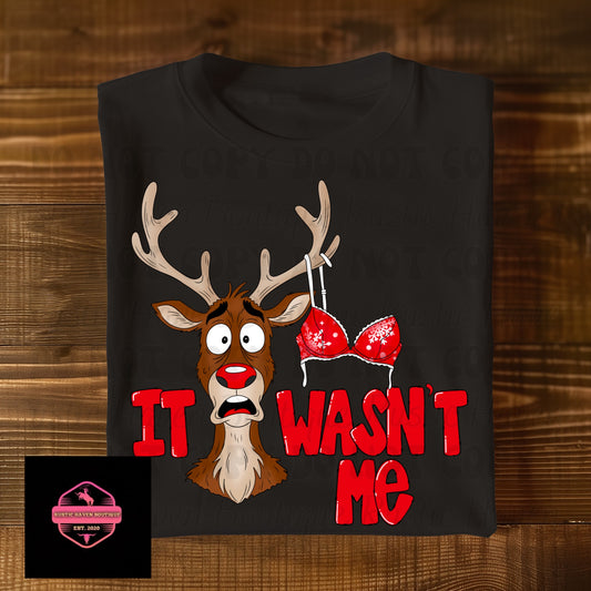 It Wasn’t Me Tee & Sweatshirt